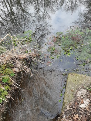 Vstupní brána do města Aš