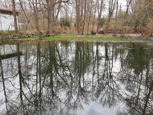 Vstupní brána do města Aš
