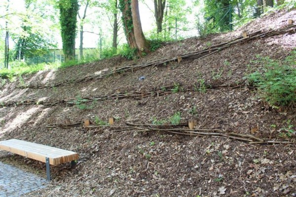 Park historie po revitalizaci